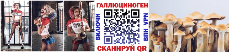 Купить закладки  Белебей  Псилоцибиновые грибы мицелий 
